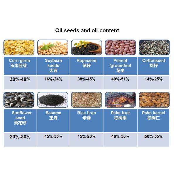 Small Scale Cooking Oil Hydraulic Machine Hydraulic Oil Press Machine Cold Press Oil Machine