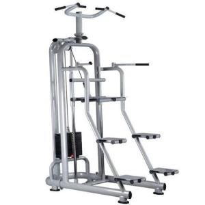 Quality Dip &amp; Hip Assist Machine for sale