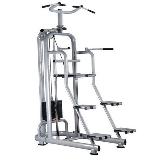 Dip & Hip Assist Machine
