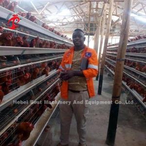 China Chicken Farm 3 Tier Battery Cage System In Poultry Sandy on sale