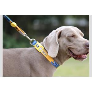 Dogs Polyester Custom Sublimation Blank Personalized Pet Collar and Leash