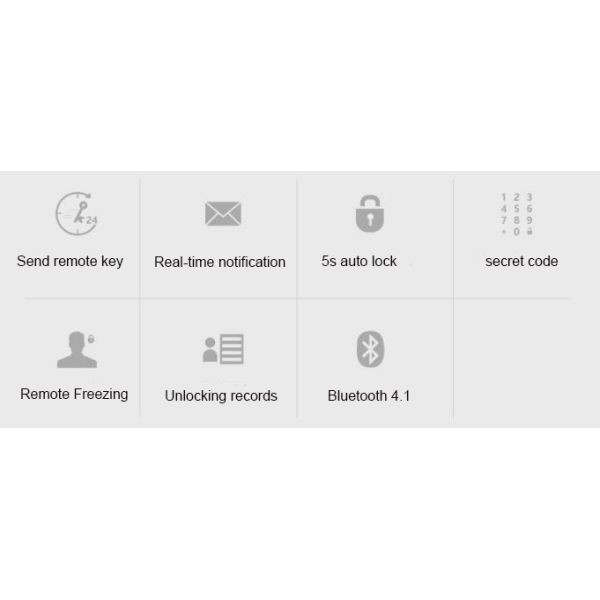 Bluetooth 4.1 LR6 Alkaline Batteries Powered Smart Door Lock For Home