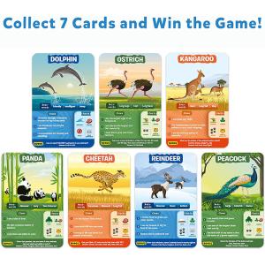 Super Fun for Travel & Family Game Night Custom design Wholesale OEM VN Supplier