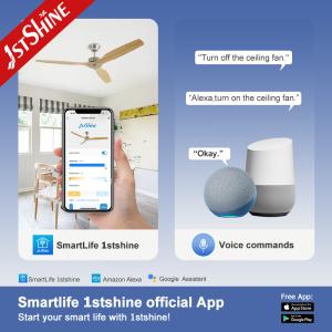 Installation Ceiling 60" Low Noise Ceiling Fan with Remote Control and Private