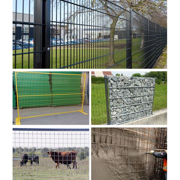 Low Carbon Steel Wire Galvanized Welded Mesh Wire Animal Fence Or Netting Rolls With 5/8'' Mesh Size