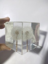 2.7" Resin Flower Paperweight 3D Dandelion Paperweight