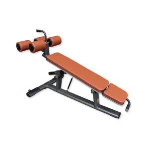 Gym Rack And Weight Bench Adjustable Abdominal Fitness Bench