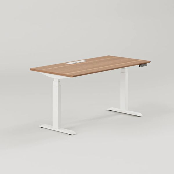 Adjustable Height Electric Standing Desk Custom Dual Motor Smart Desk for Commercial