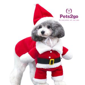 China Luxury Pet Christmas Clothes Cat Pet on sale