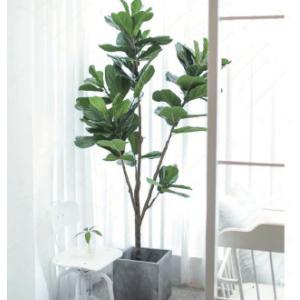 China ODM 200cm Height Artificial Potted Floor Plants Fiddle Ficus on sale