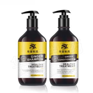China Ginger Beauty Hair Shampoo For Hair Growth Nourishing on sale