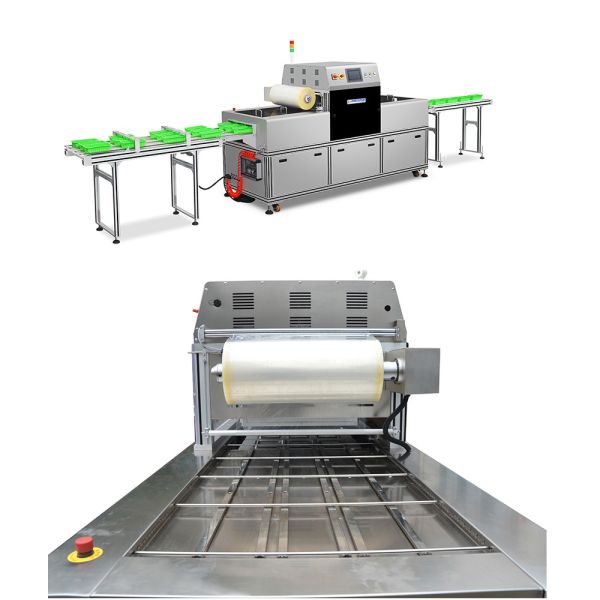 Buy Nutritious Ready Meal Packaging Machine Modified Atmosphere Vacuum Tray Sealer at wholesale prices