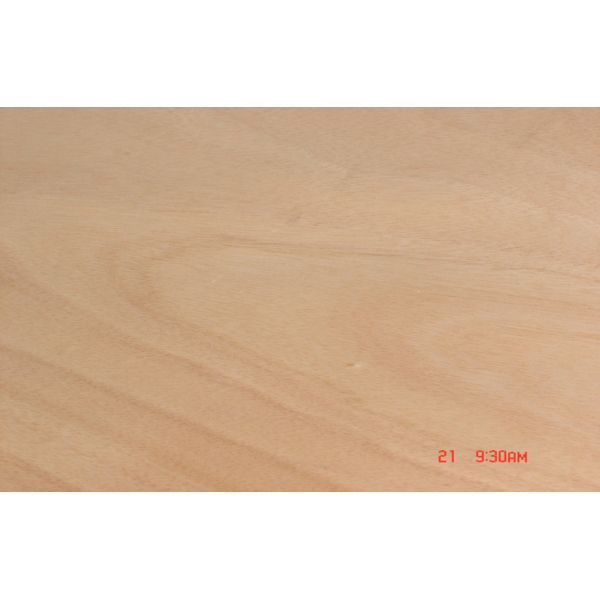 Buy Rotary Cut Natural Okoume Veneer Yellow For Furniture at wholesale prices