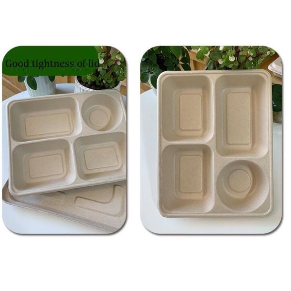 Buy Four Grid Packaging Disposable Lunch Box ,  Biodegradable Takeaway Lunch Box at wholesale prices