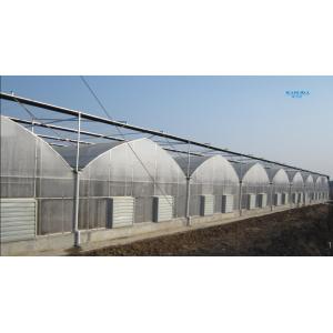 Vegetable Multiple Tunnel Plastic Film Sheet Covering Multi Span Greenhouse