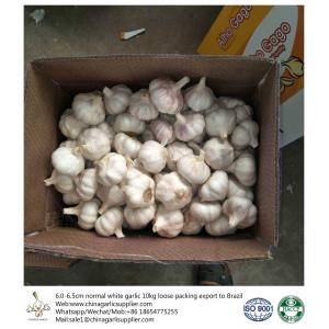 China fresh garlic export to Brazil by Pioneer garlic group. 6.0 cm normal white garlic.
