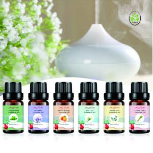 Christmas Aromatherapy Essential Oils Wholesale OEM PackageWith 6 Fragrance