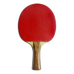 Simple Standard Table Tennis Rackets Double Reverse Rubber with Yellow Sponge