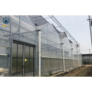 Agricultural Multi Span Strawberry Green House Plastic Shed Tomato Tunnel