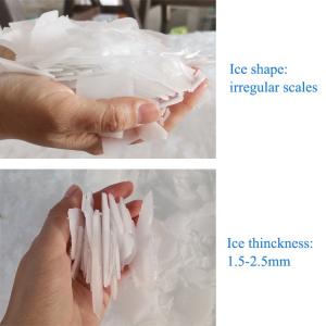 20 Tons Freshwater Flake Ice Machine Direct Cooling