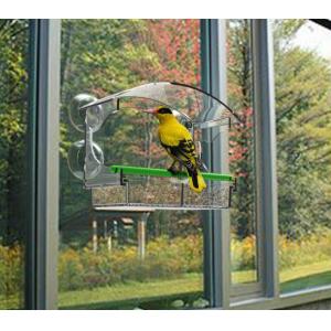 Acrylic Plexiglass Window Bird Feeder Easy Install Custom Logo With Removable
