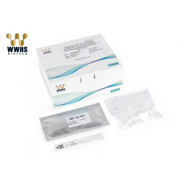 Buy 25T NGAL Rapid Quantitative Test Kit WWHS FIA POCT Assay at wholesale prices