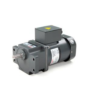 Hot sale Micro Motor AC 25W single Phase reduction Motors speed controller