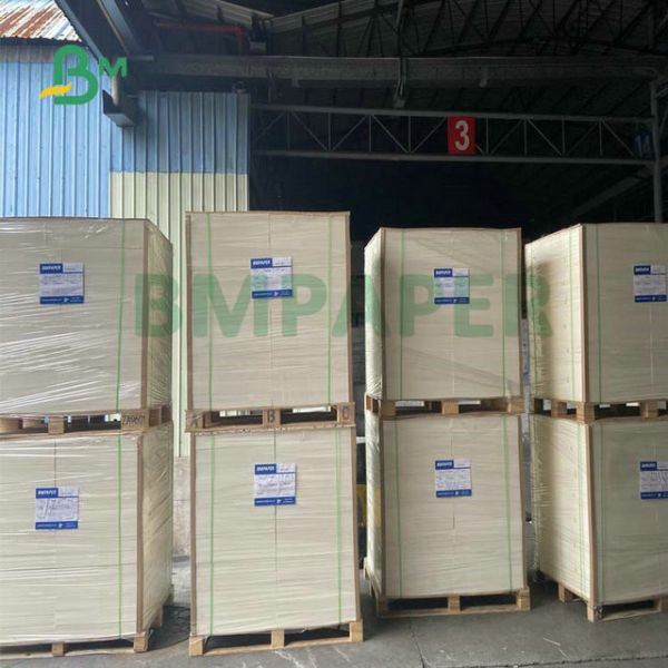 Buy Food Grade 260 + 15 PE Coated Cup Stock Paper White For Coffee Cup at wholesale prices