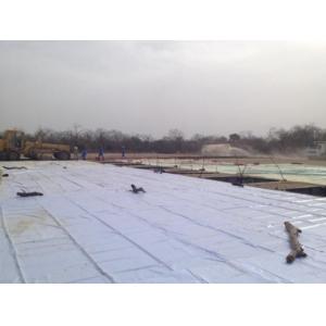 Weak Alkalinity Solidifying Agent Liquid Soil Stabilizer Biological Enzyme