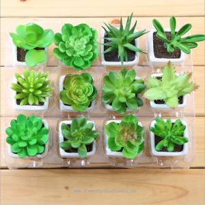 Quality Artificial succulent plants for sale