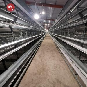 SGS Automatic Broiler Chicken Cage ISO9001 Q235A Hot Dipped Galvanized