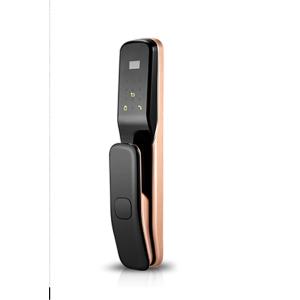 Dual Biometric Induction Alarm Automatic Face Recognition Door Locks