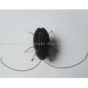 solar cockroach