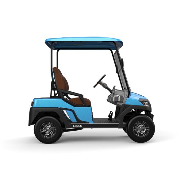 Affordable 2 Seat Electric Golf Buggy Perfect for Family and Hunting on the Beach