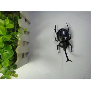 Promotional Solar Toys Solar Powered Beetle Insect Knowledge Educational Toys