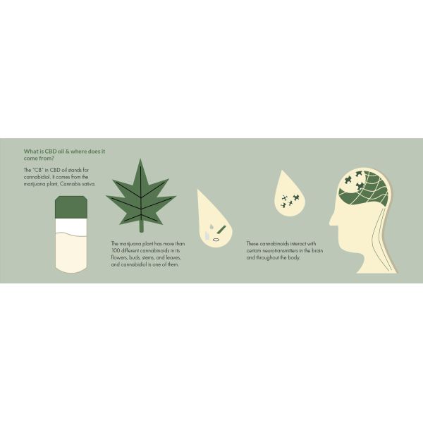 CE -40C Oil Extraction Equipment