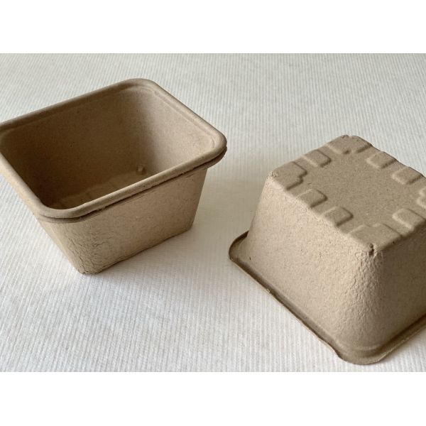 Buy WaterProof Dry Press Moulded Fibre Packaging Fruit Containers 100% Recyclable at wholesale prices