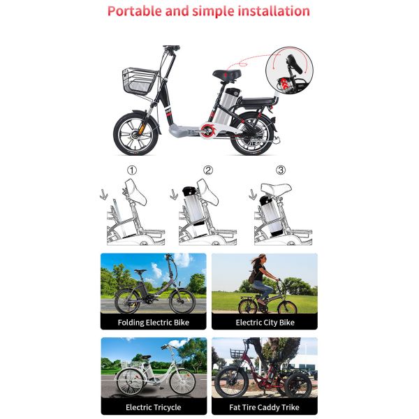 Customized 18650 Ebike Battery Sliver Fish 48V Electric Bicycle Battery