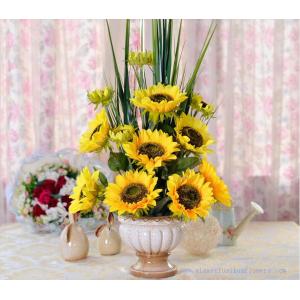 Potted Sunflower Arrangement for Sale