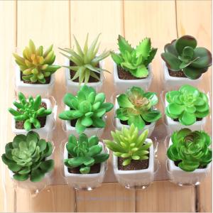 Artificial succulent plants