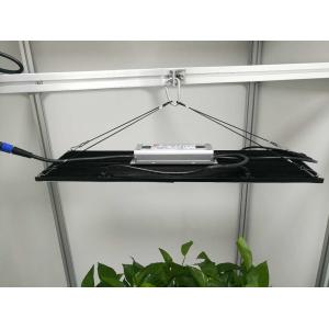 Fashionable Design 4000lm 576pcs Chips Indoor Plant Lights