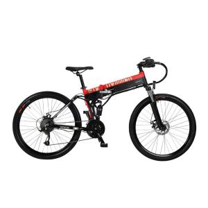 23kg Lightweight Electric Folding Bike MTB 250w For Multiapplication