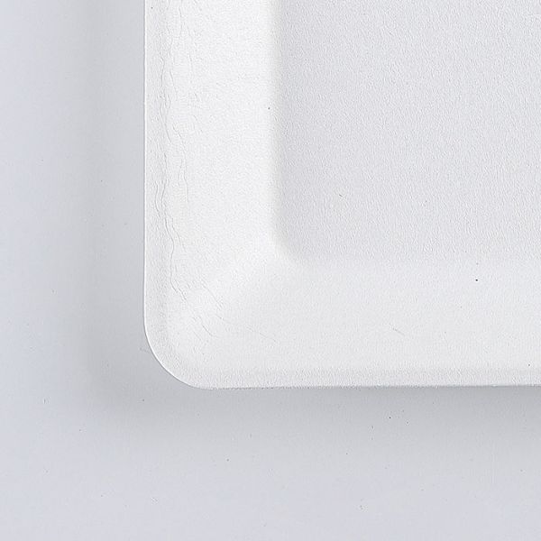 Compostable disposable bagasse food container biodegradable sugarcane tableware Bagasse Square Plate