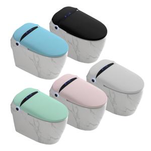 One Piece Siphonic Smart Bathroom Toilet Mix Pit Spacing 300mm