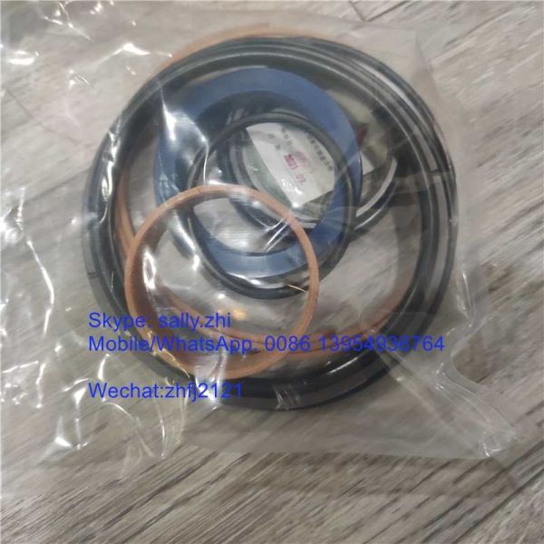 SDLG sealing kit , 4120004770019, grader spare parts for grader SDLG G9165/
