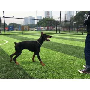 Stem Shape Weaving Technique Artificial Grass with Effective Drainage System