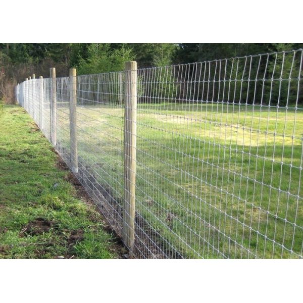 Protection Electro Galvanized Steel Cattle Fence , Deer / Grassland Wire Fence