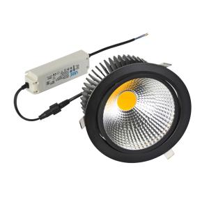 40W COB LED Downlight with CE,TUV,FCC,ROHS Approval