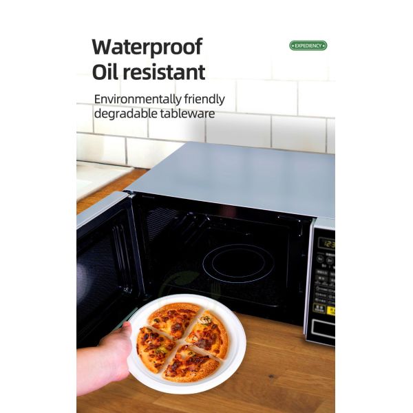 White 3 Compartment Bagasse Tray Original Color Dinner Sugarcane Bagasse Pulp 10 Inch Round Plates