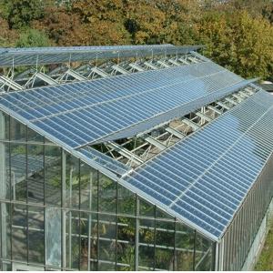 Heat Storage Single-Arch Commercial Photovoltaic Greenhouses Long-Lasting